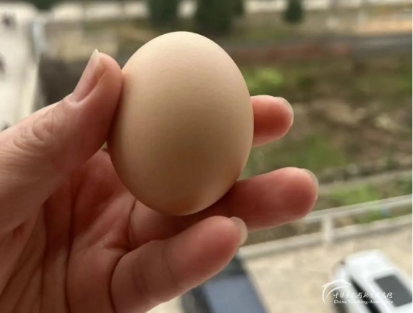 支教的第一天1 - 中华支教与助学信息中心 - 1.png