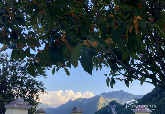 是支教的季节2 - 中华支教与助学信息中心 - 4.png