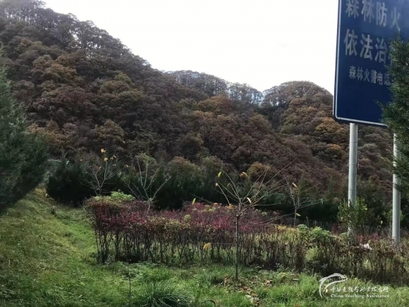 在诗一样的远方 - 中华支教与助学信息中心 - 微信图片_20211114211605.jpg