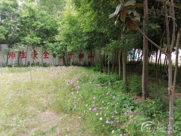 【004.村小益智盒】2所山村学校募集6个益智盒（已结束） - 中华支教与助学信息中心 - 校园一角.jpg