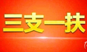 【062.停止招募】2020年黑龙江省三支一扶招募