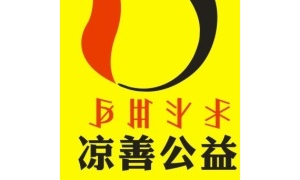 【c28.社会团体】凉善公益