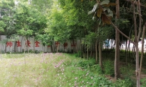 【004.村小益智盒】2所山村学校募集6个益智盒（已结束）